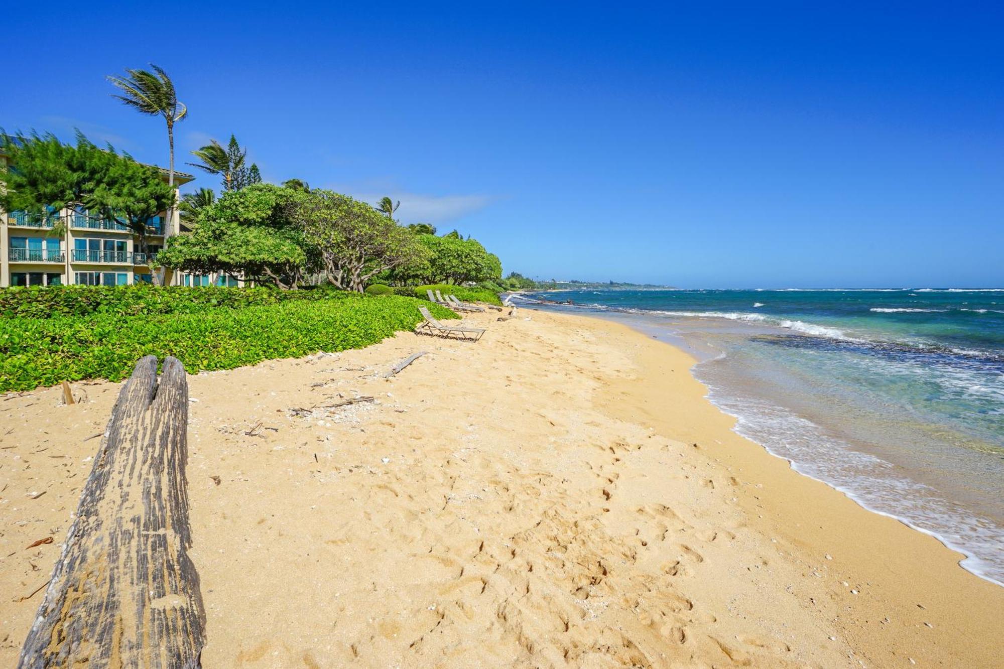 Waipouli Beach Resort Kapa'a Rom bilde