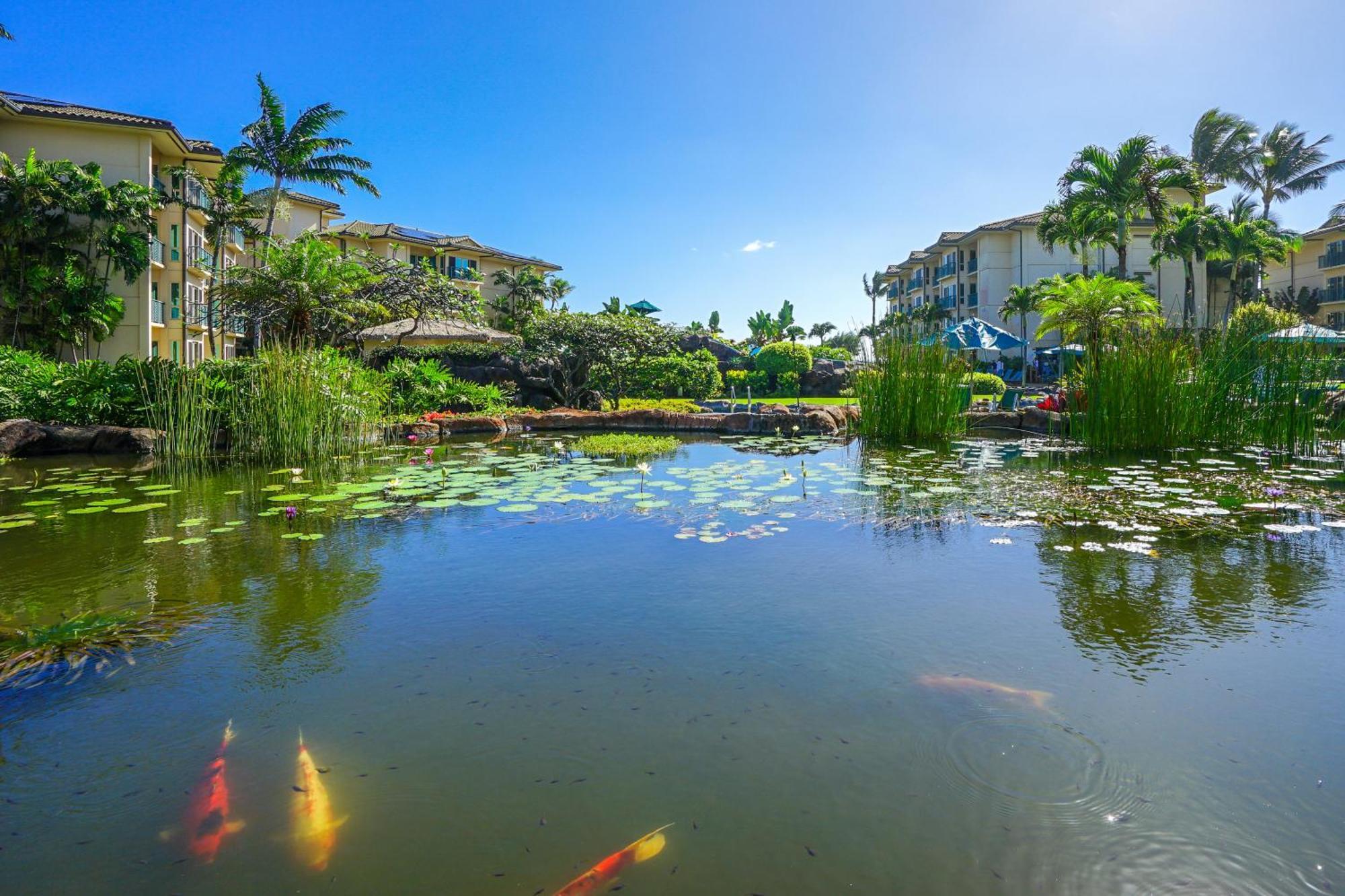 Waipouli Beach Resort Kapa'a Rom bilde